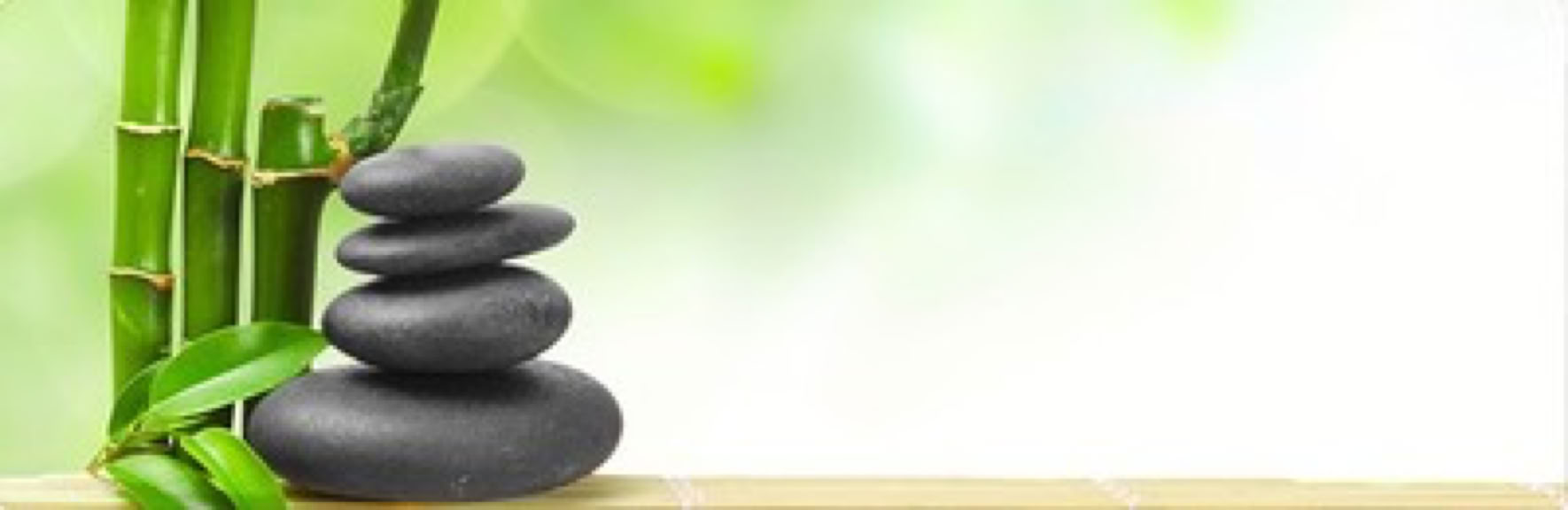 TheFeel&rsquo;s holistic vitality program, internal and external equilibrium as a basis for health! 